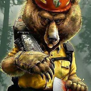 Meet your Posher, Bill